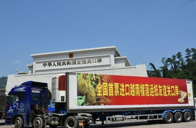 Первая партия дуриана Вьетнама была экспортирована через контрольно-пропускной пункт Юигуань, Гуанси. Фото: Газета «Гуанси жибао»