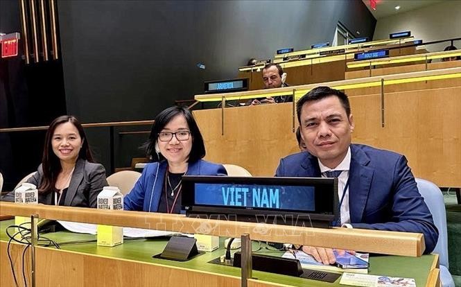 Посол Данг Хоанг Жанг (крайний справа) и члены постоянной миссии Вьетнама при ООН на заседании. Фото: ВИА