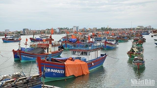 Оффшорные рыболовные суда рыбаков Куангбиня. Фото: Йен Ньи