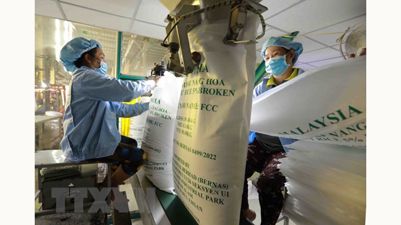 Упаковка экспортной рисовой продукции ООО «Виньфат» в г. Лонгсуен (Анжанг). Фото: ВИА