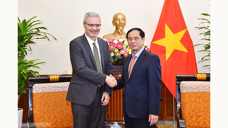 Министр иностранных дел Буй Тхань Шон (справа) и Посол Франции во Вьетнаме Николя Уорнери. Фото: baoquocte.vn