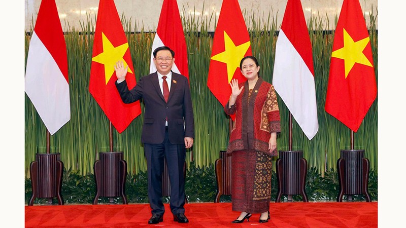 Председатель НС Выонг Динь Хюэ и Председатель Совета народных представителей Индонезии Пуан Махарани.