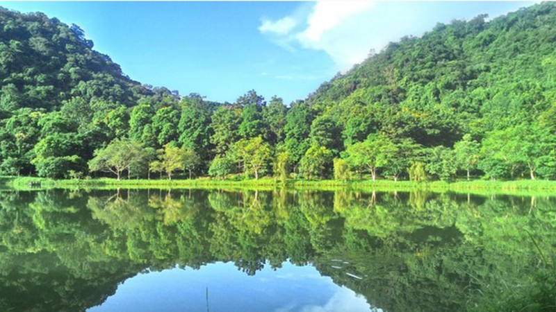 Национальный парк Кукфыонг. Фото: Департамент туризма провинции Ниньбинь