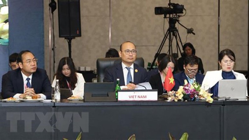 Вьетнамская делегация на 20-м консультативном совещании министров экономики стран АСЕАН и Южной Кореи. Фото: ВИА