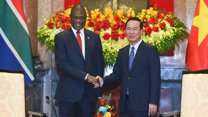 Президент Во Ван Тхыонг и Вице-президент ЮАР Пол Машатиле. Фото: Зюи Линь