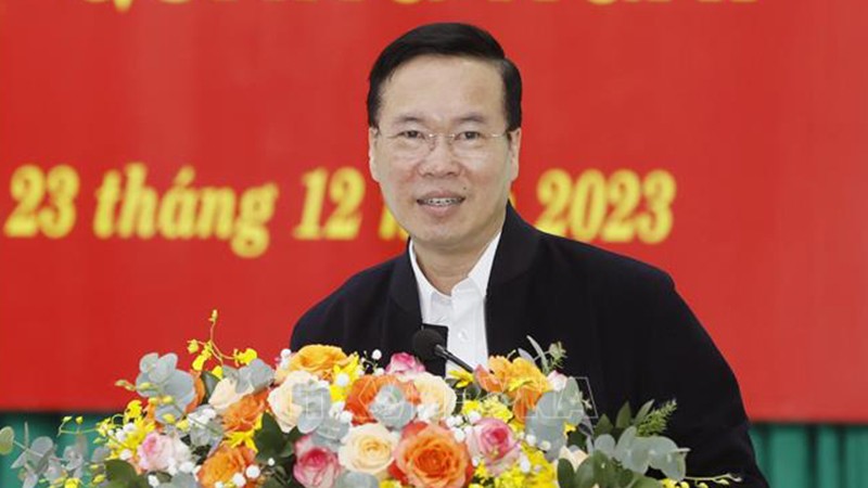 Президент Во Ван Тхыонг выступает на встрече. Фото: ВИА