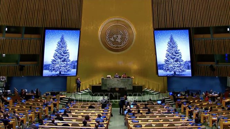 Резолюция о признании Тэт Нгуен Дан ежегодным праздником ООН была принята на состоявшемся 22 декабря заседании ГА ООН. Фото: ВИА