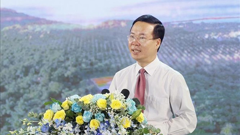 Президент Во Ван Тхыонг выступает на программе. Фото: ВИА