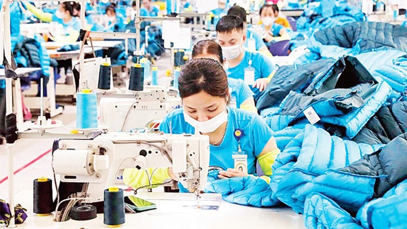 Cтандарт озеленения является большим вызовом для швейно-текстильных предприятий Вьетнама. Фото: ВИА