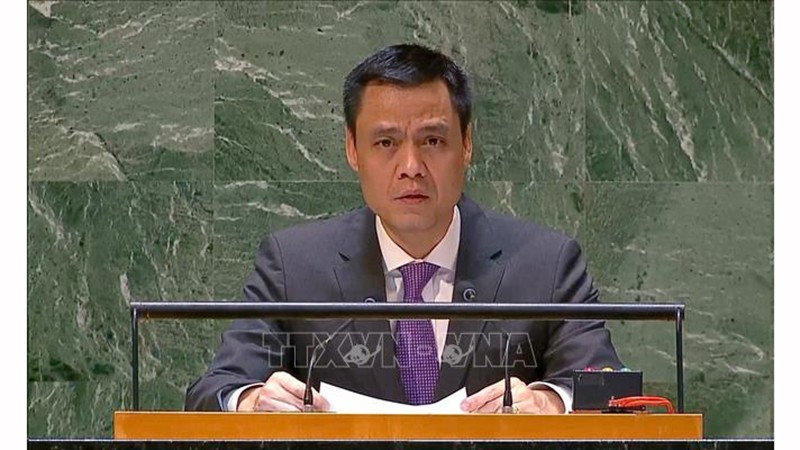 Глава постоянной миссии Вьетнама при ООН, Посол Данг Хоанг Жанг. Фото: ВИА