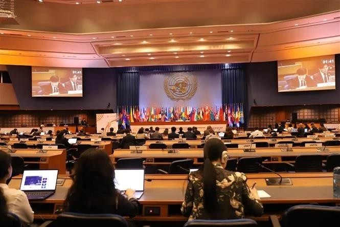 Общий вид обсуждения 24 апреля на 81-й сессии ЭСКАТО. Фото: ВИА