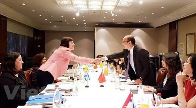 Общий вид переговорной сессии. Фото: VNA