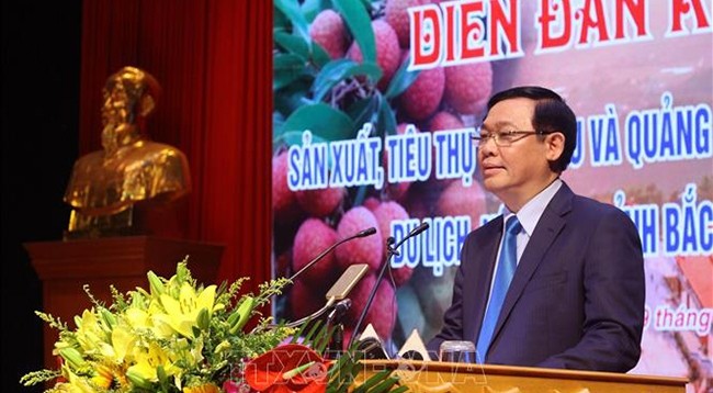 Вице-премьер Выонг Динь Хюэ выступает на форуме. Фото: VNA