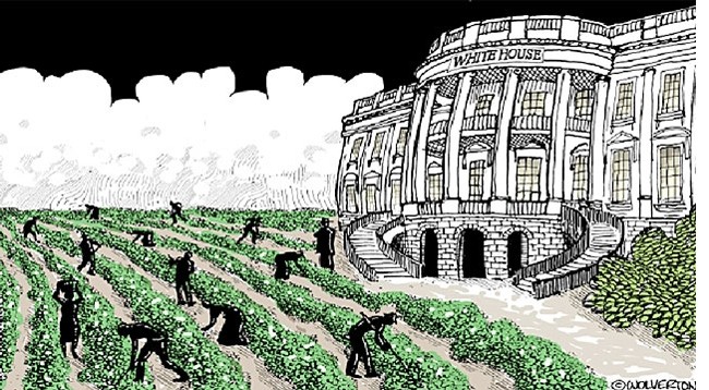 Карикатура Монте Уолвертона