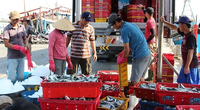 Сектор морепродуктов Вьетнама прилагал усилия по борьбе с ННН-промыслом. 