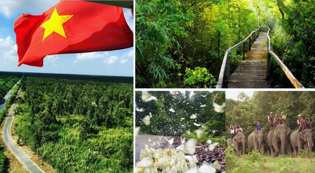 Известные первобытные леса во Вьетнаме.