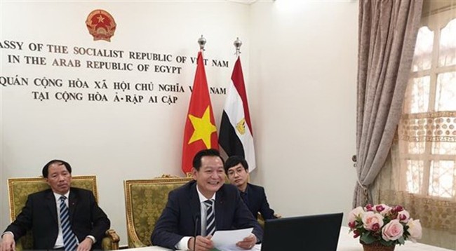 Посол Вьетнама в Египте Чан Тхань Конг выступает на семинаре. Фото: VNA