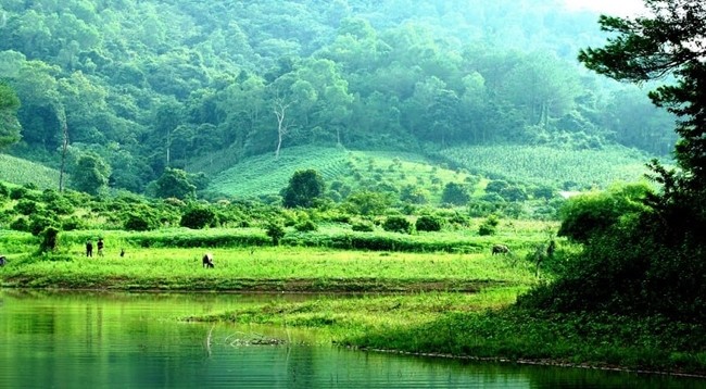 Озеро Кхуонтхан окружено пышными сосновыми лесами круглый год. Фото: dulichvietnam.com.vn