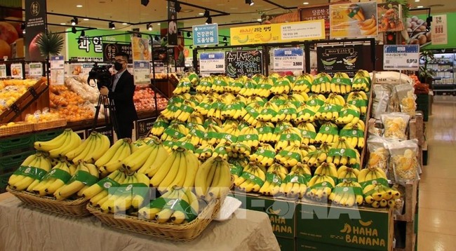 Вьетнамские бананы в супермаркете Lotte. Фото: VNA