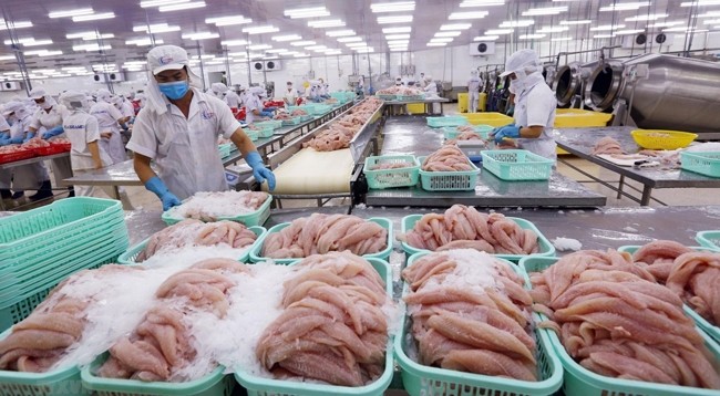 Доверие иностранных инвесторов к отрасли морепродуктов Вьетнама заметно улучшилось. Фото: VNA