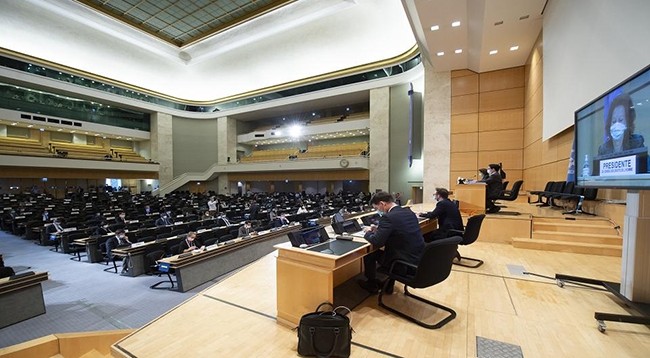Общий вид 44-ой сессии Совета ООН по правам человека. Фото: baoquocte.vn