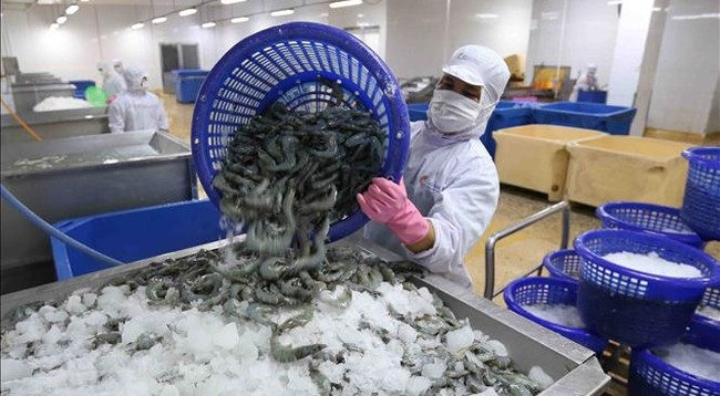 Южная Корея является 5-м крупнейшим рынком импорта вьетнамских креветок. Фото: VNA