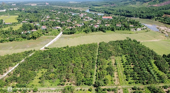 Сады помело в общине Хыонгчать (провинция Хатинь).