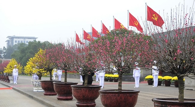 Чествуем этой весной успех XIII съезда КПВ. Фото: Данг Кхоа