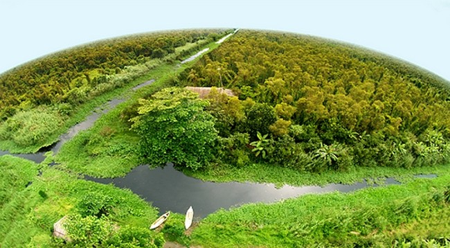 Национальный парк Мыса Камау омывается морем с трех сторон. Фото: dacsanmuicamau.com