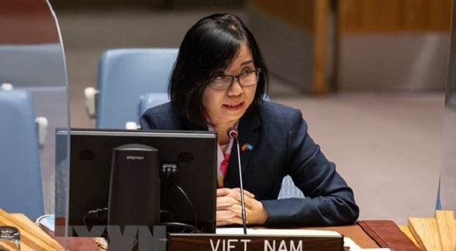 Заместитель главы Постоянной миссии Вьетнама при ООН, Советник-посланник Нгуен Фыонг Ча. Фото: VNA