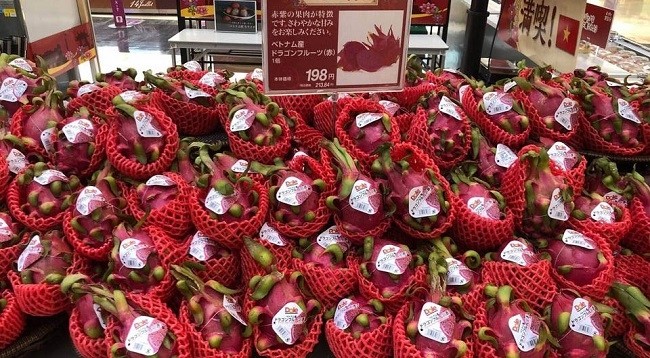 Драконий фрукт Вьетнама в системе японских супермаркетов Aeon. Фото: moit.gov.vn