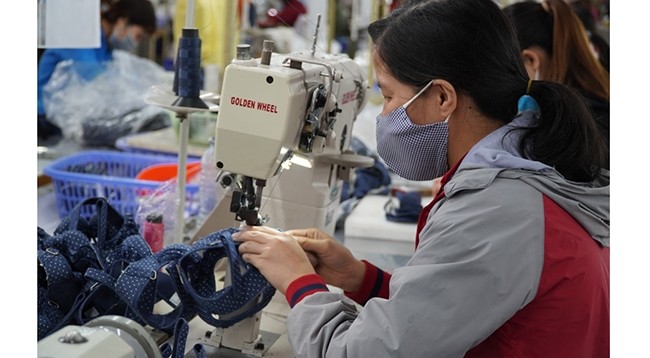 Более 99% стоимости экспорта обуви Вьетнама в ЕС пользуются льготой в рамках соглашения. 