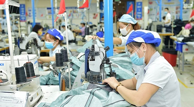 Производство одежды для экспорта в Швейной корпорации №10. Фото: hanoimoi.com.vn