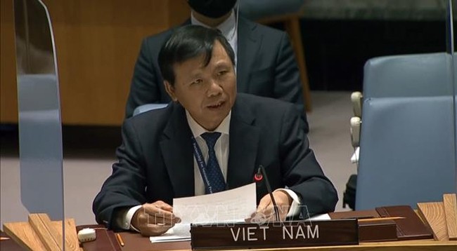 Посол, глава постоянной миссии Вьетнама при ООН Данг Динь Кюи. Фото: VNA