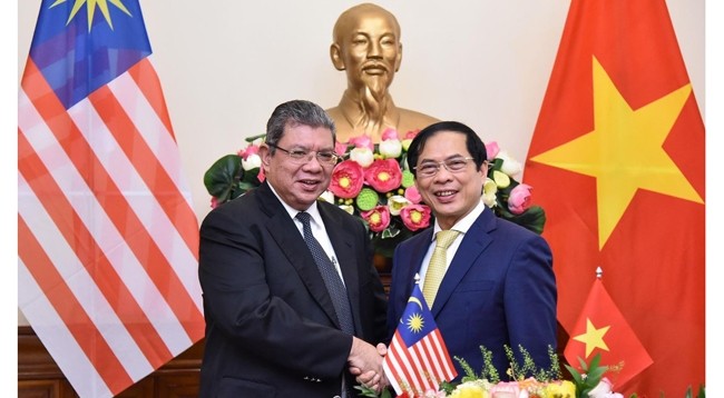 Министр иностранных дел Буй Тхань Шон (справа) и Министр иностранных дел Сайфуддин Абдулла. Фото: МИД Вьетнама