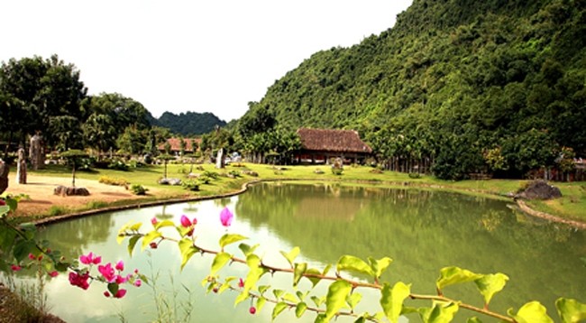 Экотуристическая зона птичьего сада Тхунгням находится примерно в 12 км к востоку от города Ниньбинь. Фото: baoninhbinh.org.vn