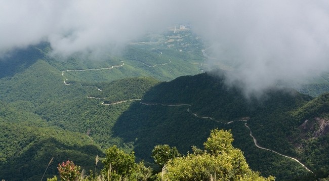 Вид с вершины горы Батьма. Фото: traveltimes.vn
