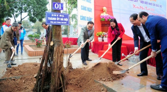 Церемония развертывания праздника посадки деревьев в память о Президенте Хо Ши Мине в общине Нгухиеп (уезд Тханьчи, город Ханой). Фото:hanoimoi.com.vn